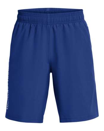 Boys' UA Tech™ Woven Wordmark Shorts 